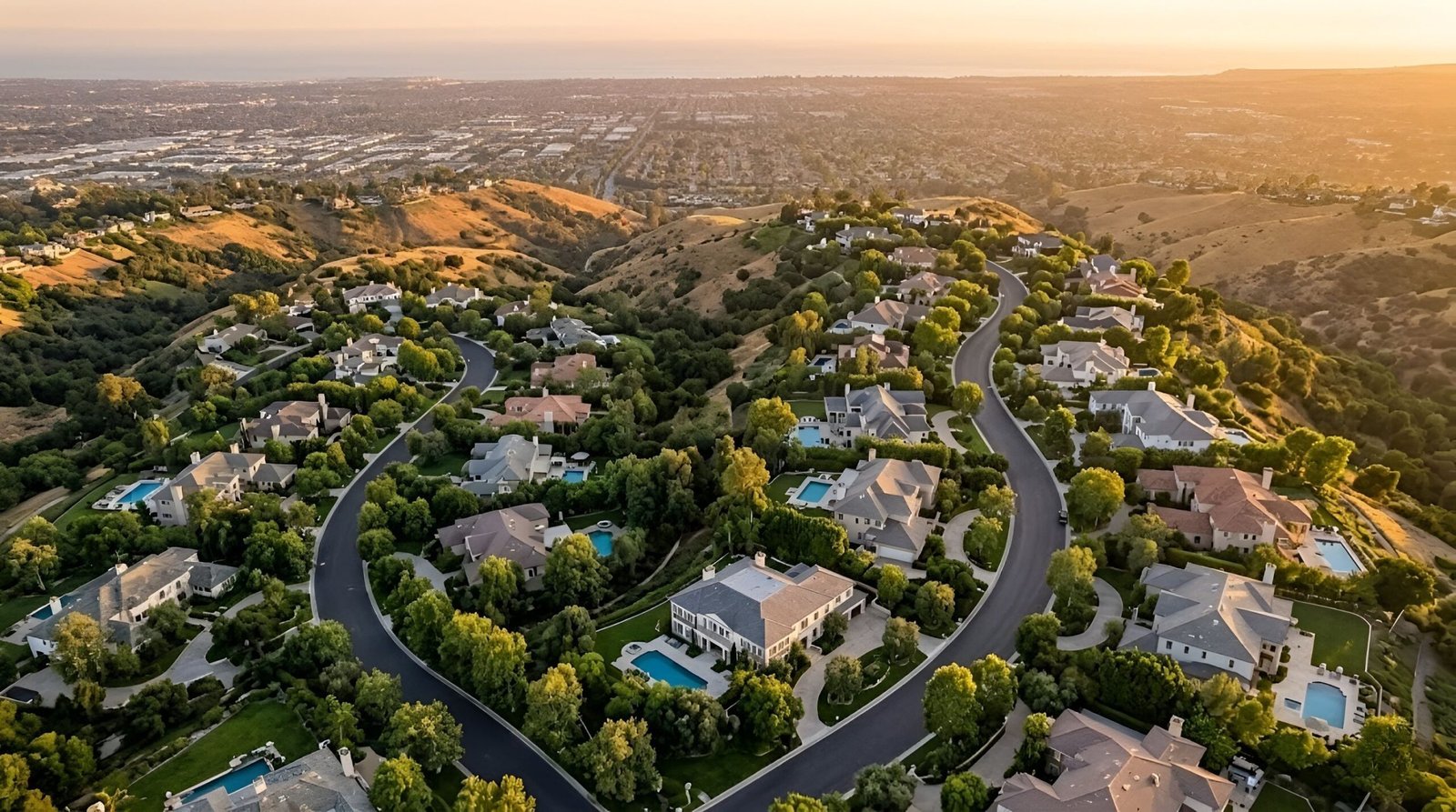 Aerial view of tree-lined neighborhood streets.