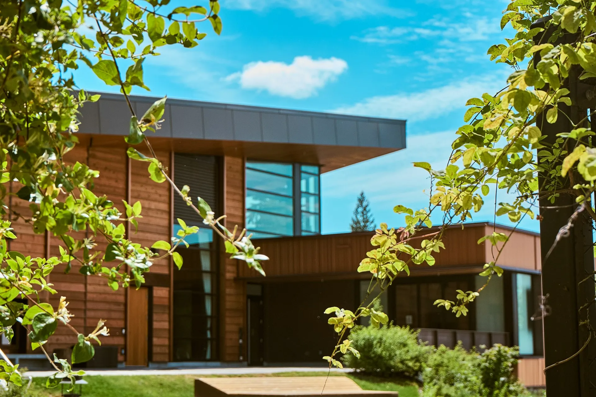 Modern wood-clad home with large windows, surrounded by leafy green trees under a bright blue sky.